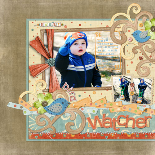 Bird Watcher