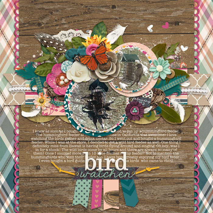 Bird Watcher