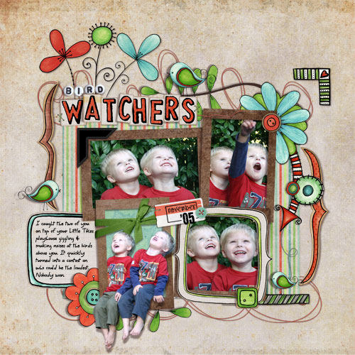 Bird Watchers