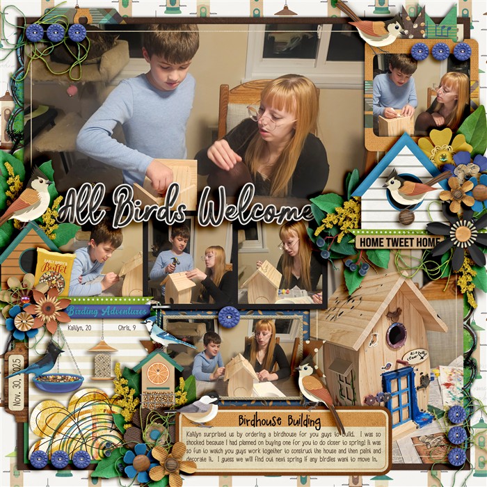 Birdhouse Building