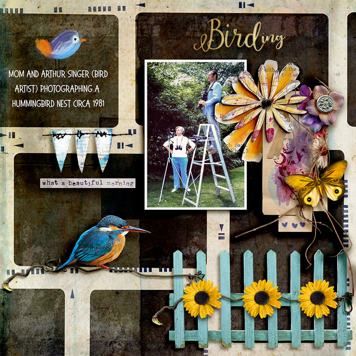 Birding