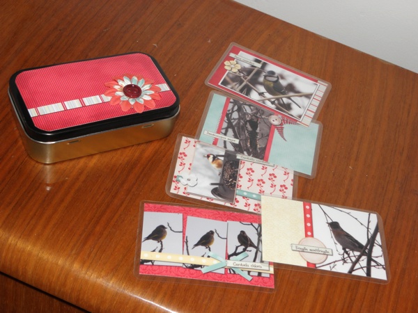 Birds from the garden
