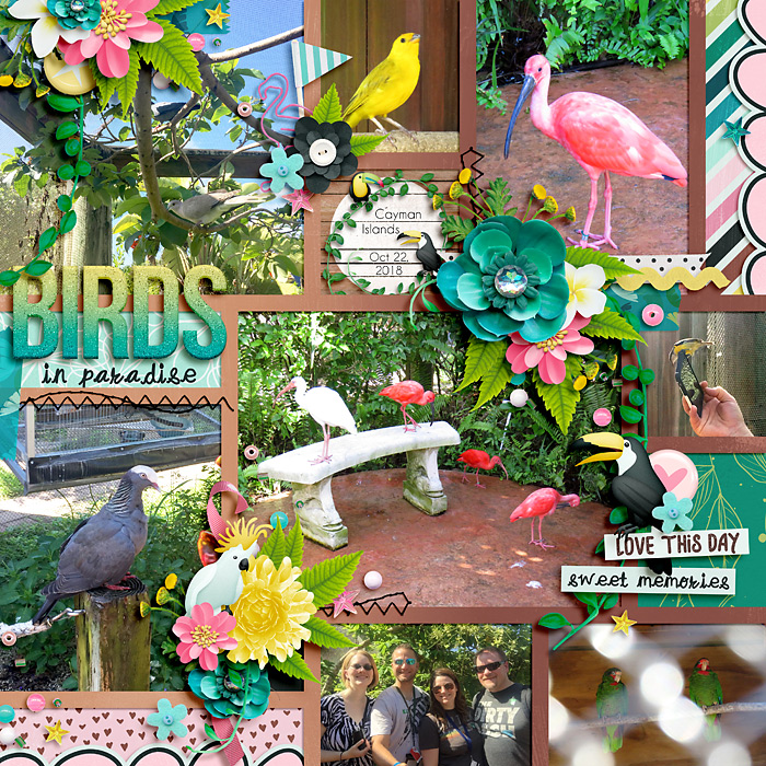 Birds in Paradise
