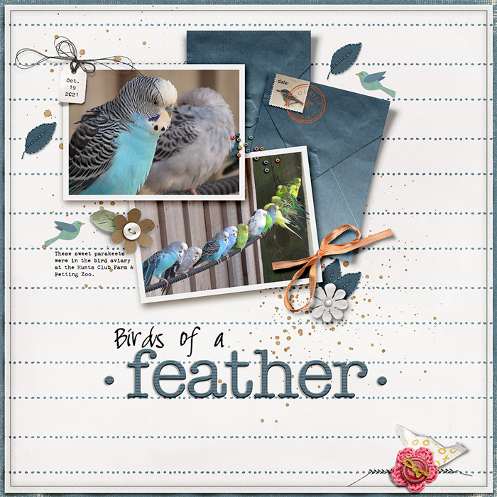 Birds of a Feather