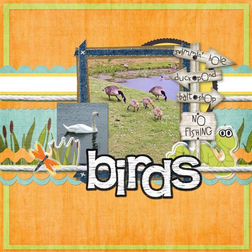 Birds