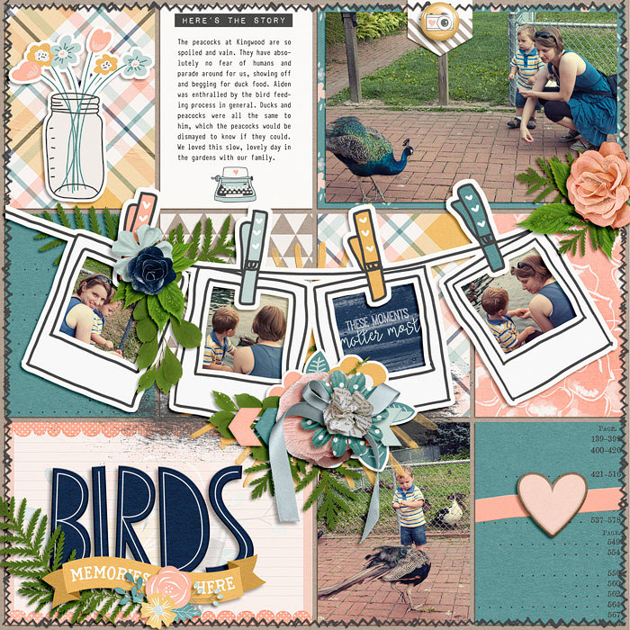 Birds