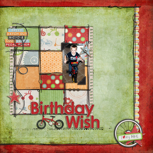 Birthday Wish