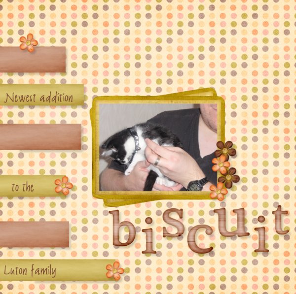 Biscuit