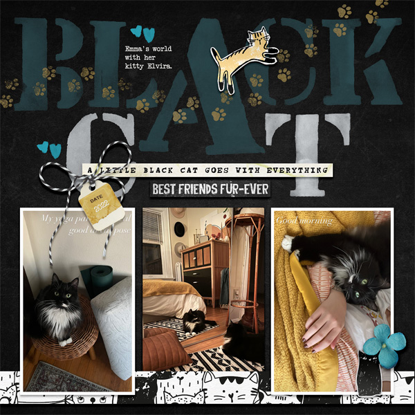 Black Cat