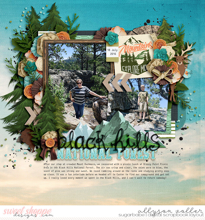 Black Hills National Forest