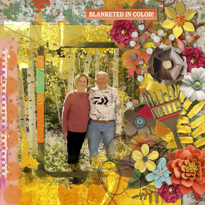 Blanketed in Color