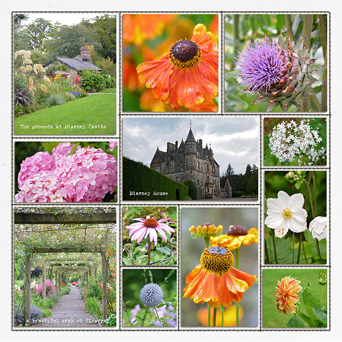 Blarney Castle Grounds