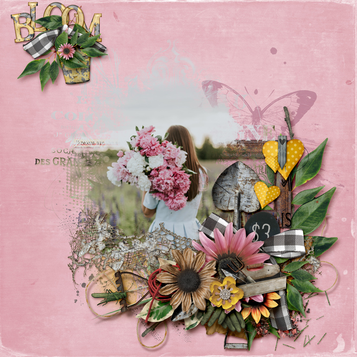 Bloom 2