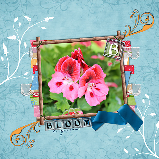 Bloom and Grow