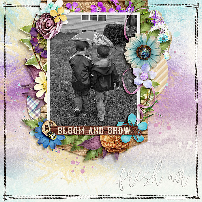 Bloom and Grow