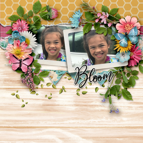 Bloom and Grow