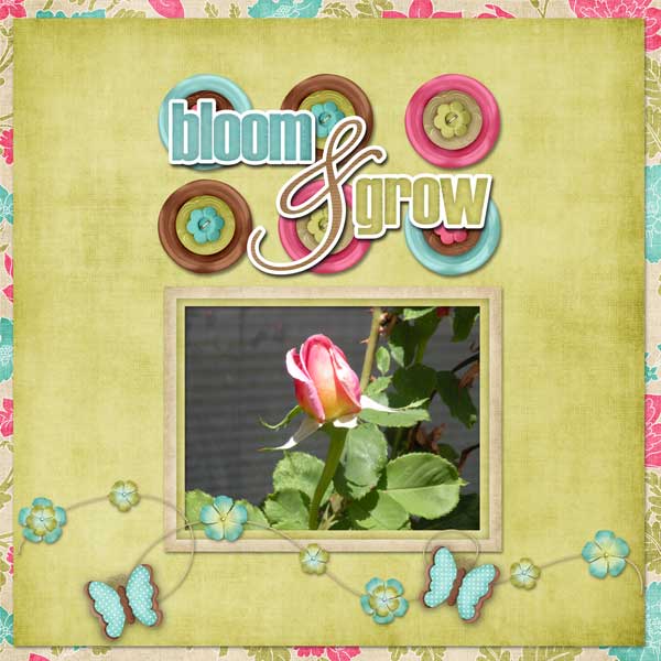 bloom and grow