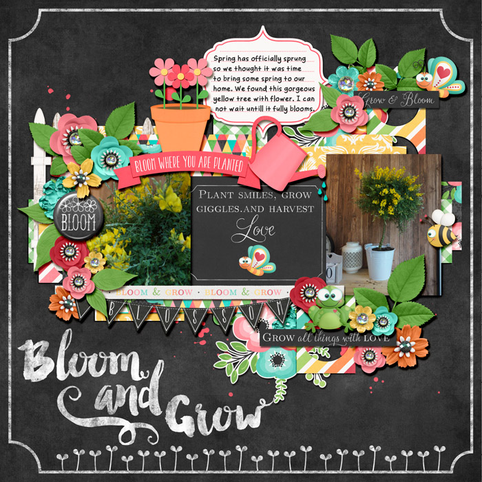 Bloom & Grow.