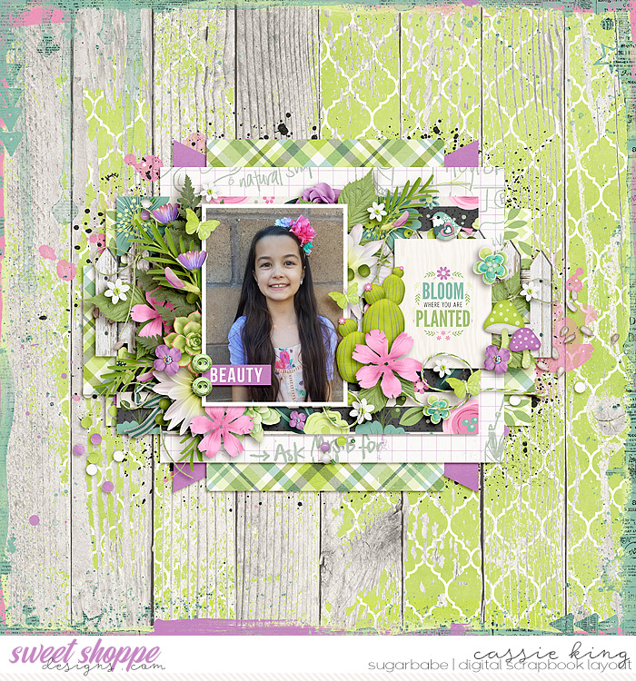 Bloom & Grow