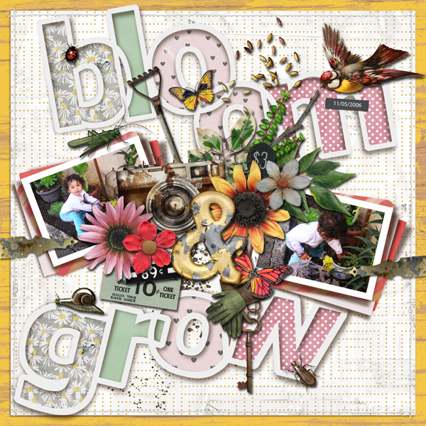 Bloom & Grow