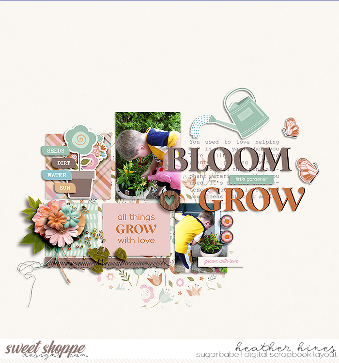 Bloom Grow