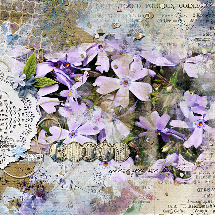 Bloom where you are Planted