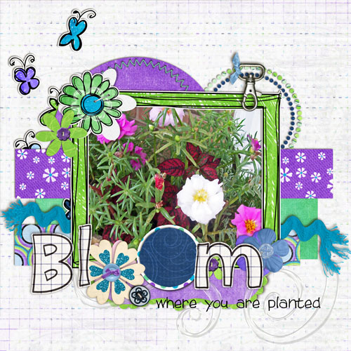 Bloom where your're planted