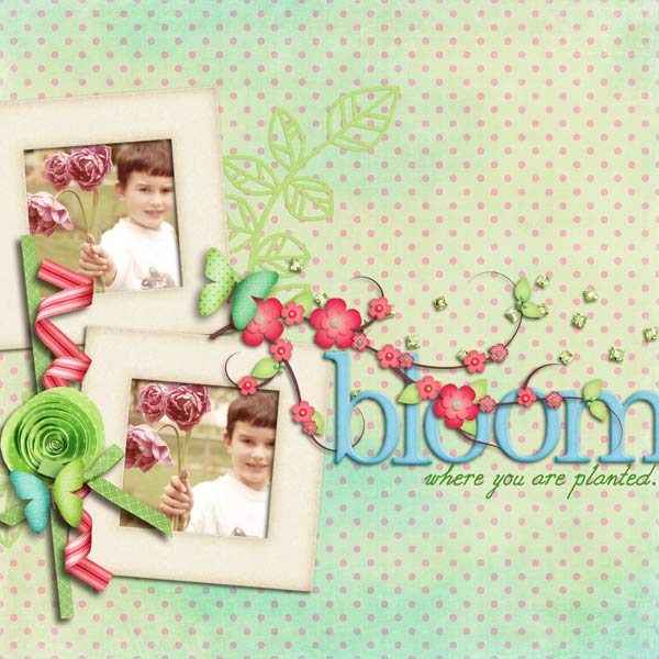bloom.