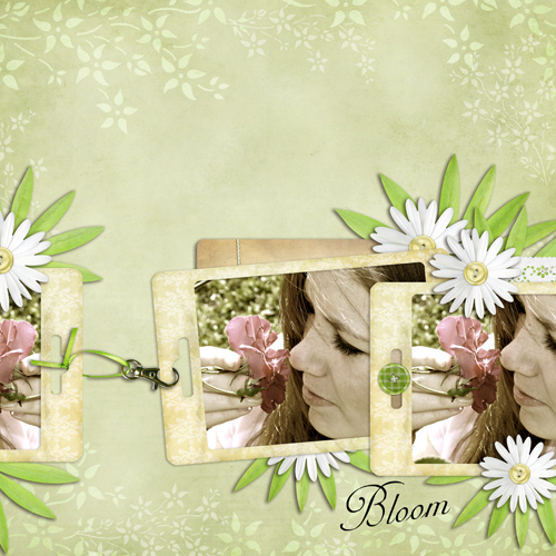 Bloom