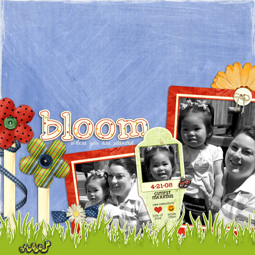 Bloom