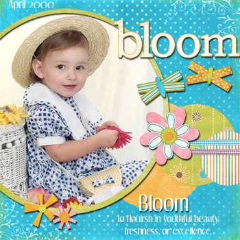 Bloom