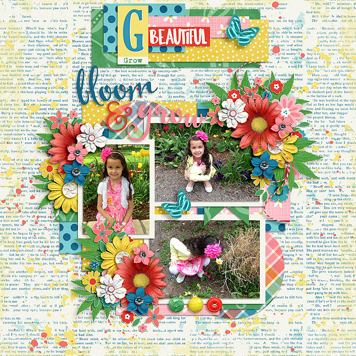 Bloom