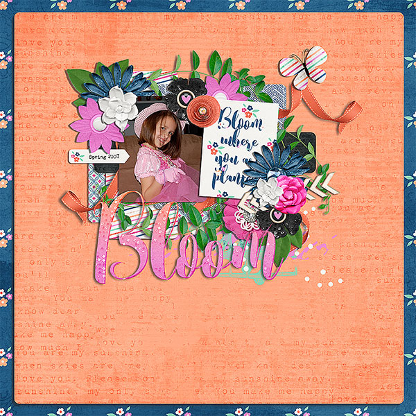 bloom