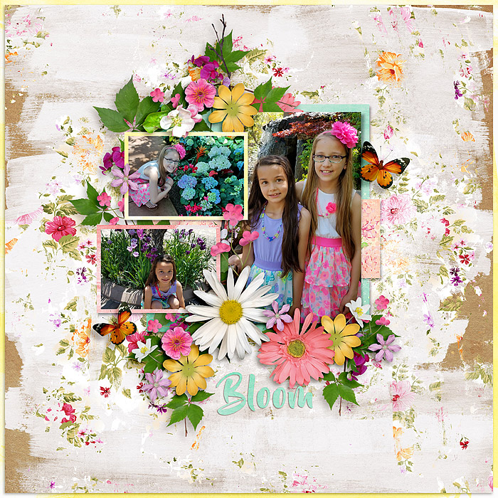 Bloom