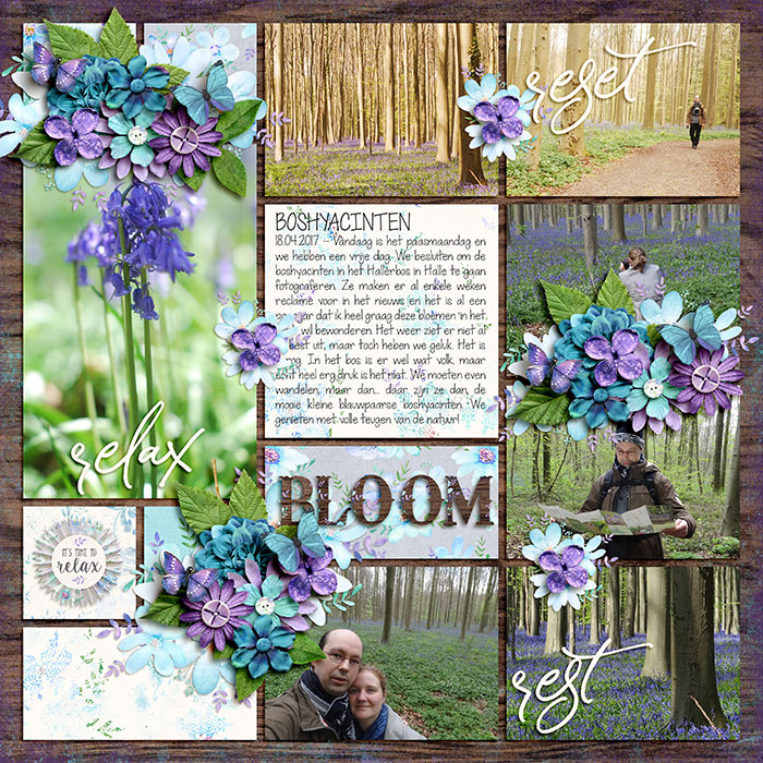 Bloom