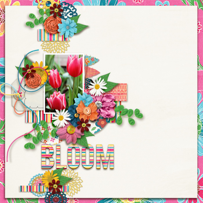 Bloom
