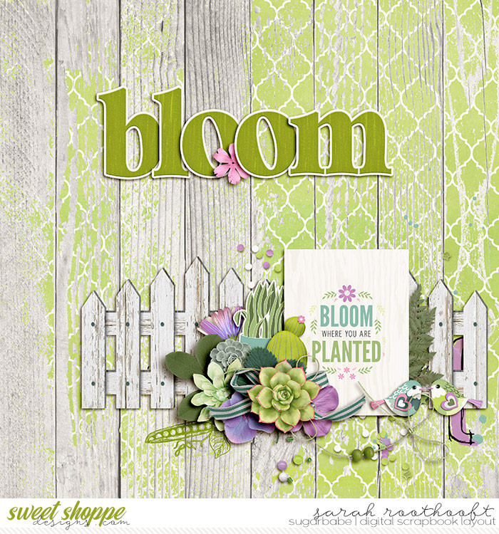 Bloom