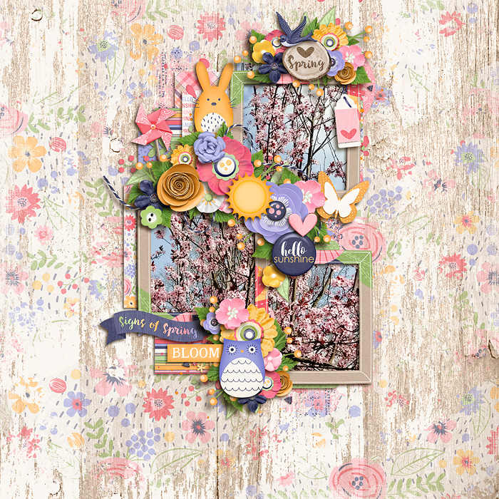 bloom