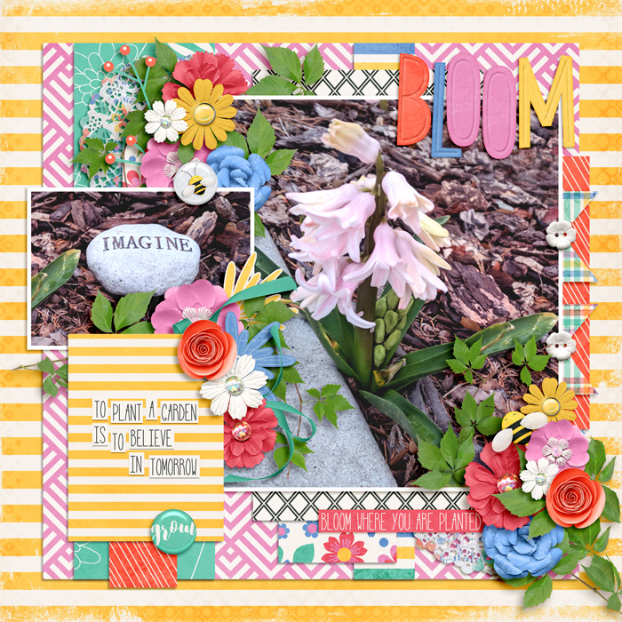 bloom