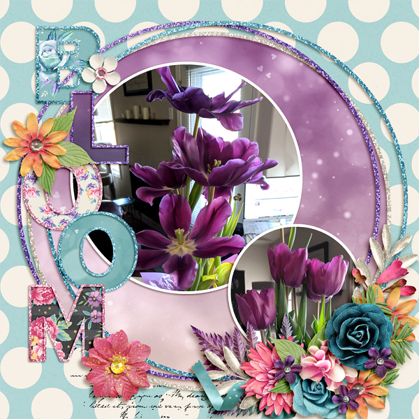 bloom