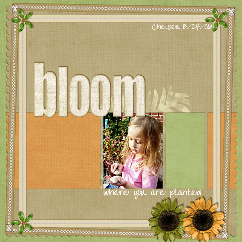 Bloom