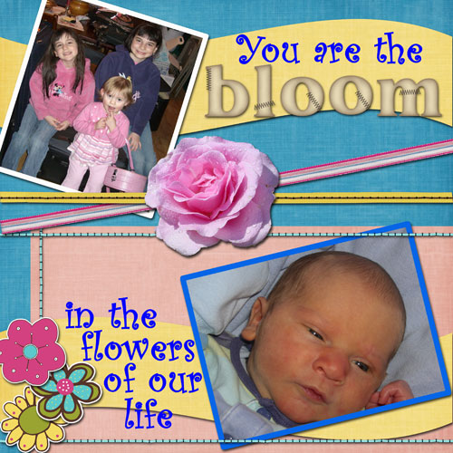 Bloom