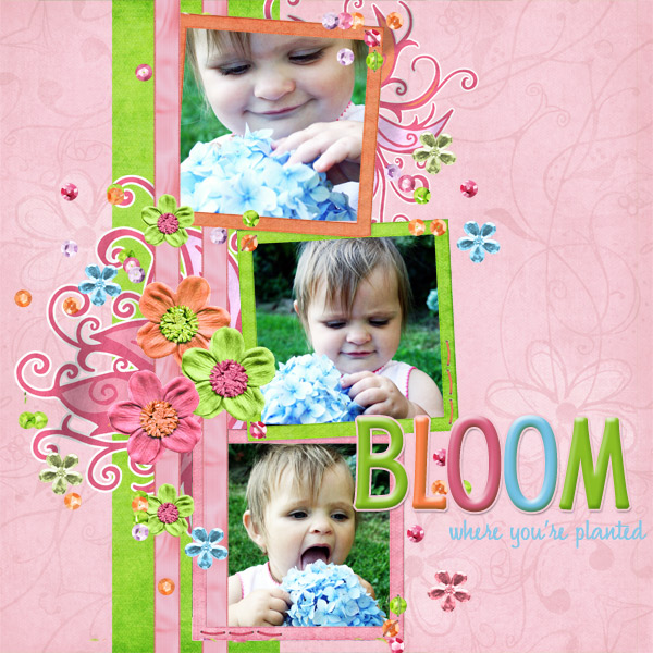Bloom