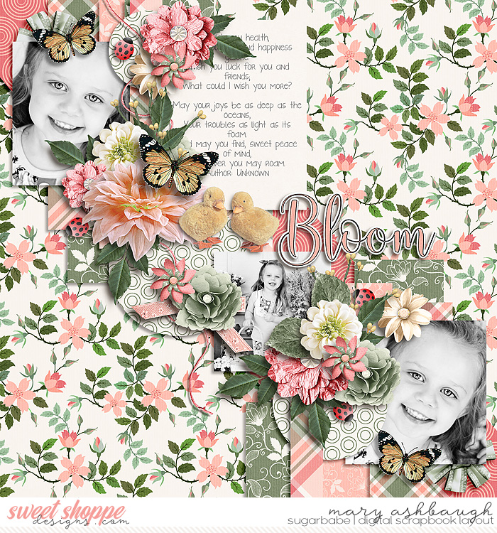 Bloom