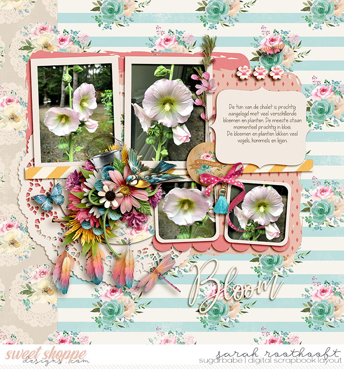 Bloom