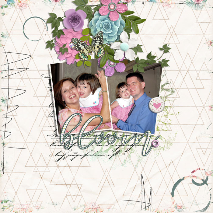 bloom