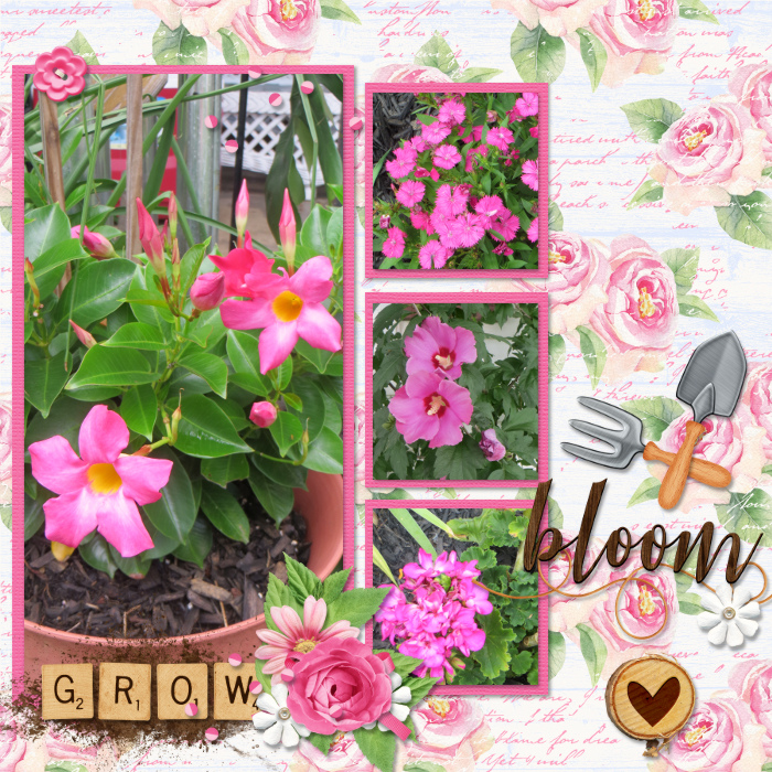 bloom