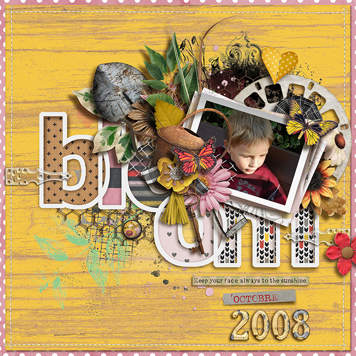 Bloom