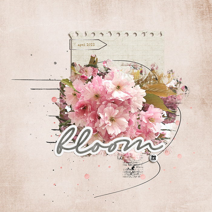 bloom