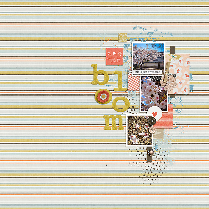 Bloom
